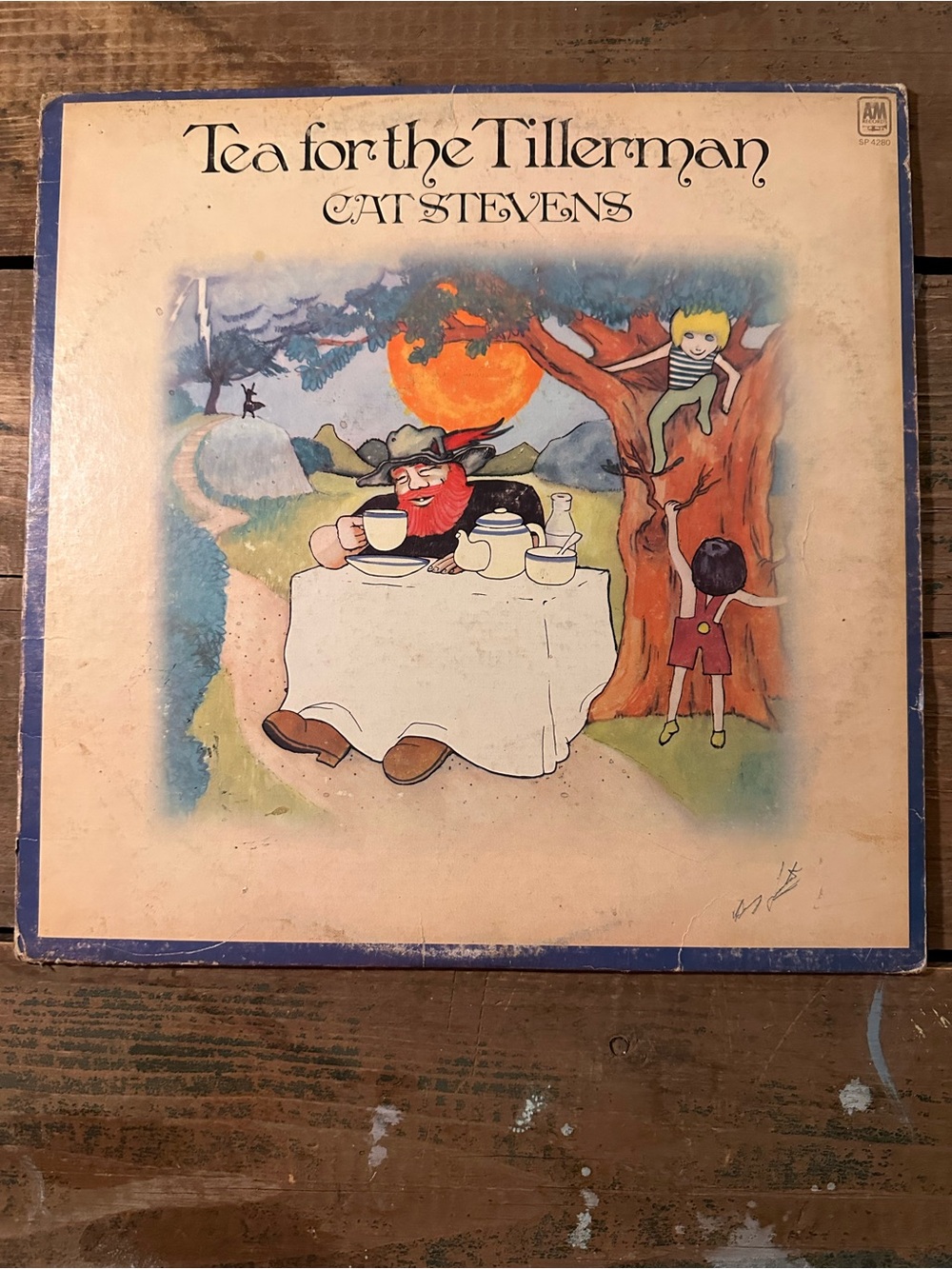 ⭐️ Cat Stevens "Tea for the Tillerman" Vintage Vinyl Album